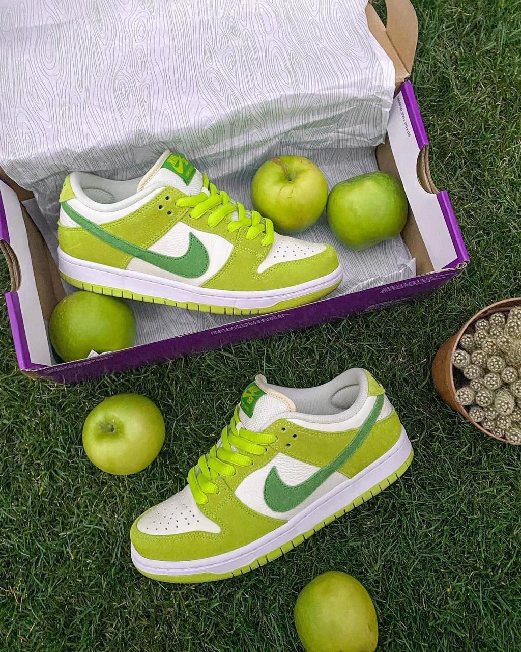 NIKE SB DUNK APPLE🍏